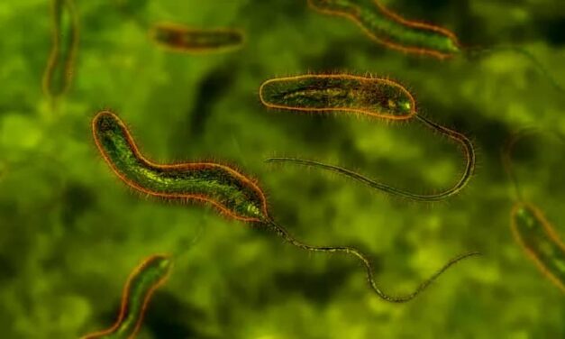 Health: Cholera outbreak in Tarkwa Nsuaem claims three lives