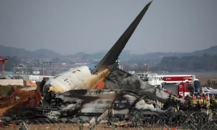 Passenger plane crashes at South Korean airport, killing 179
